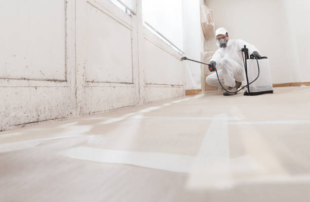 24/7 Emergency Mold Remediation experts in Thompsonville, PA