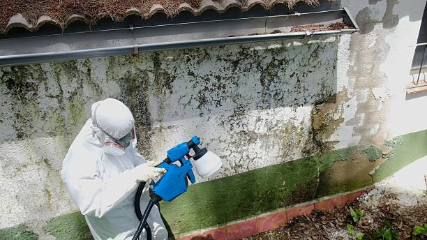 Top rated local Mold Remediation specialists in Thompsonville, PA